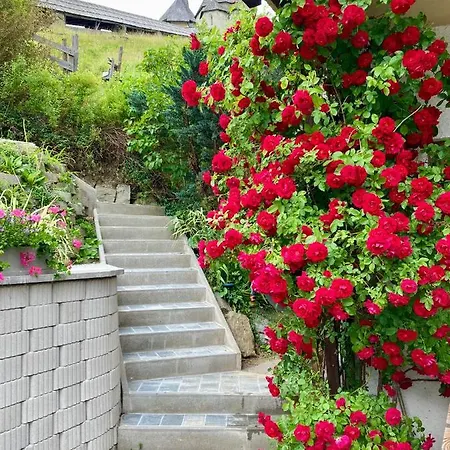 Bed & Breakfast Moserwirt Sankt Veit an der Glan