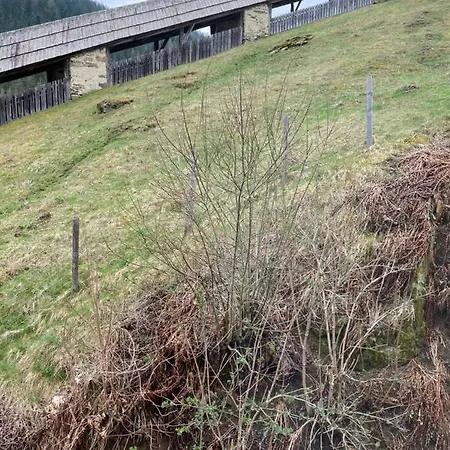 Moserwirt Sankt Veit an der Glan