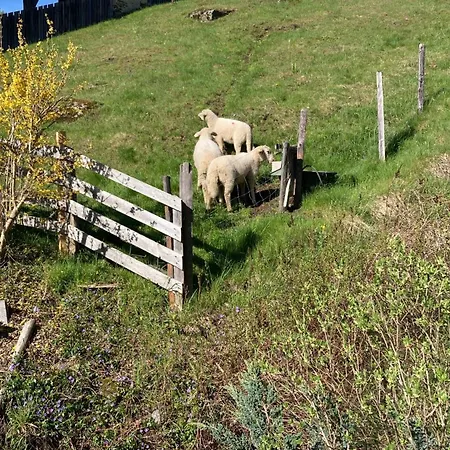 Moserwirt Bed & Breakfast Sankt Veit an der Glan