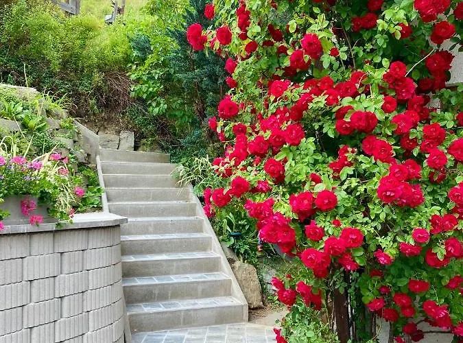 Bed & Breakfast Moserwirt Sankt Veit an der Glan