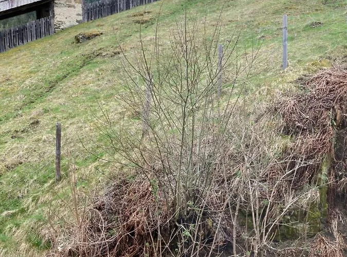 Moserwirt Sankt Veit an der Glan