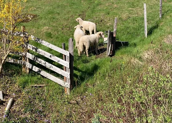 Moserwirt Oda ve Kahvaltı Sankt Veit an der Glan